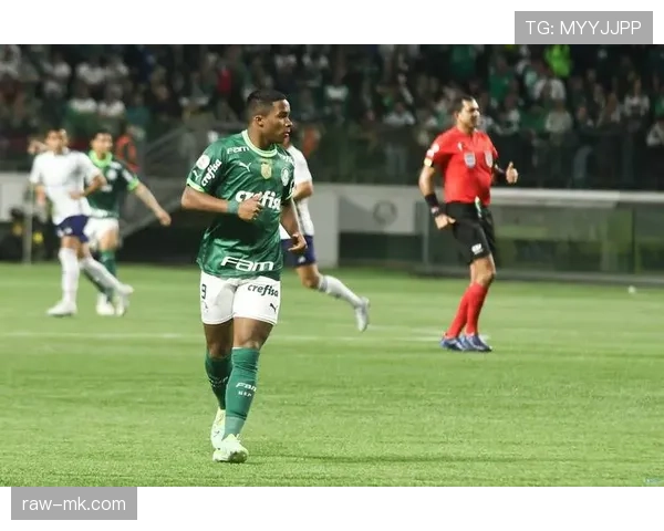 恩德里克战术适配性解析：助力球队竞争力跃升的核心因素