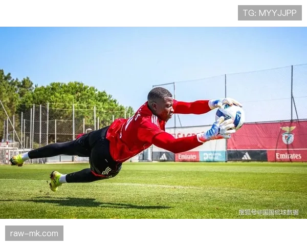 本菲卡战术革新显成效，冲击联赛冠军引关注